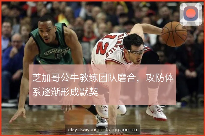 芝加哥公牛教练团队磨合，攻防体系逐渐形成默契